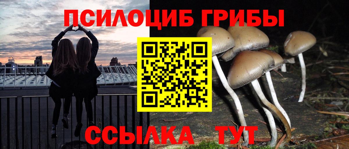 Галлюциногенные грибы Magic Shrooms  Вход с VPN  Карталы 