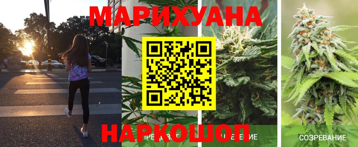 Шишки марихуана гибрид  Вход с VPN  Карталы  Конопля VHQ  МАРИХУАНА планчик 